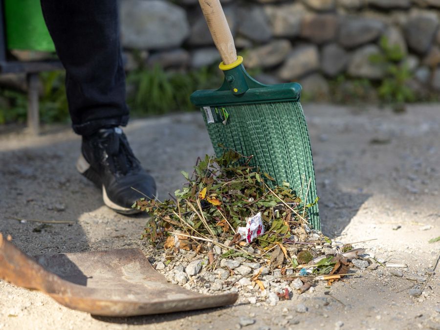 Seasonal yard cleanup and leaf removal
