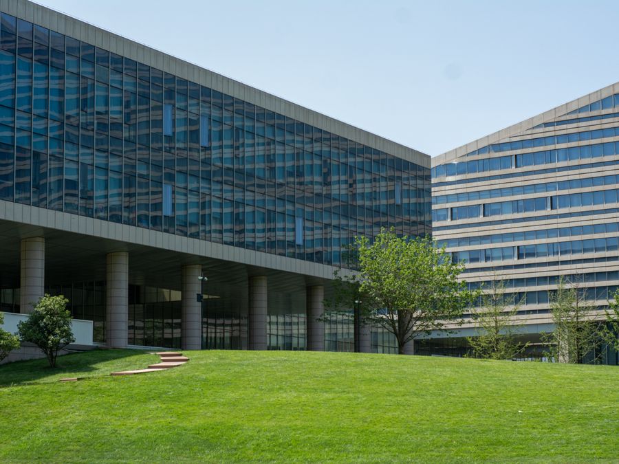 Maintained grounds at a commercial property