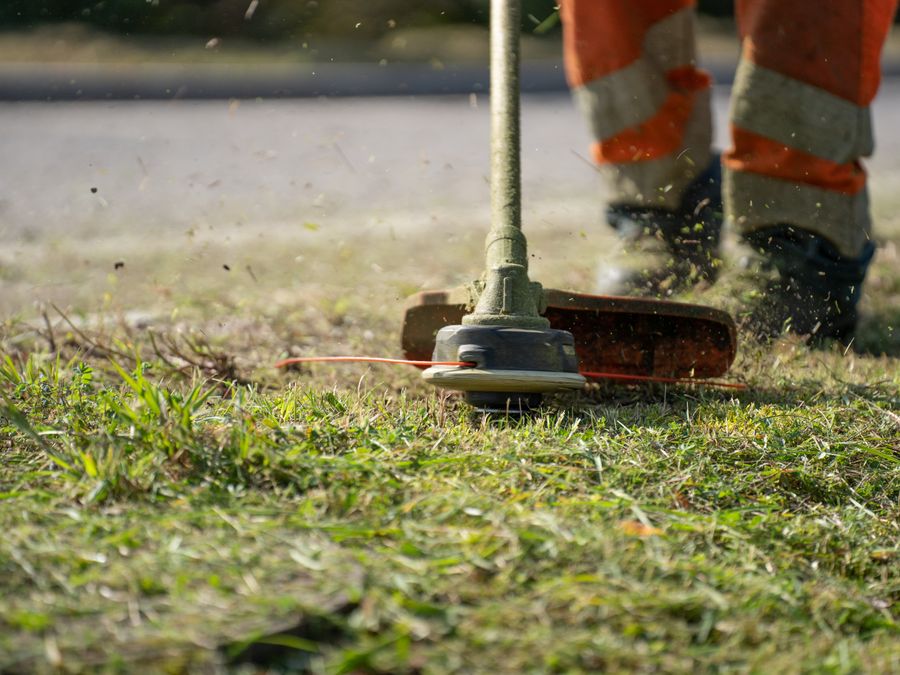 Crisp lawn edge along a driveway after edging