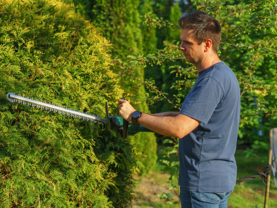 Shaping a hedge with a powered trimmer