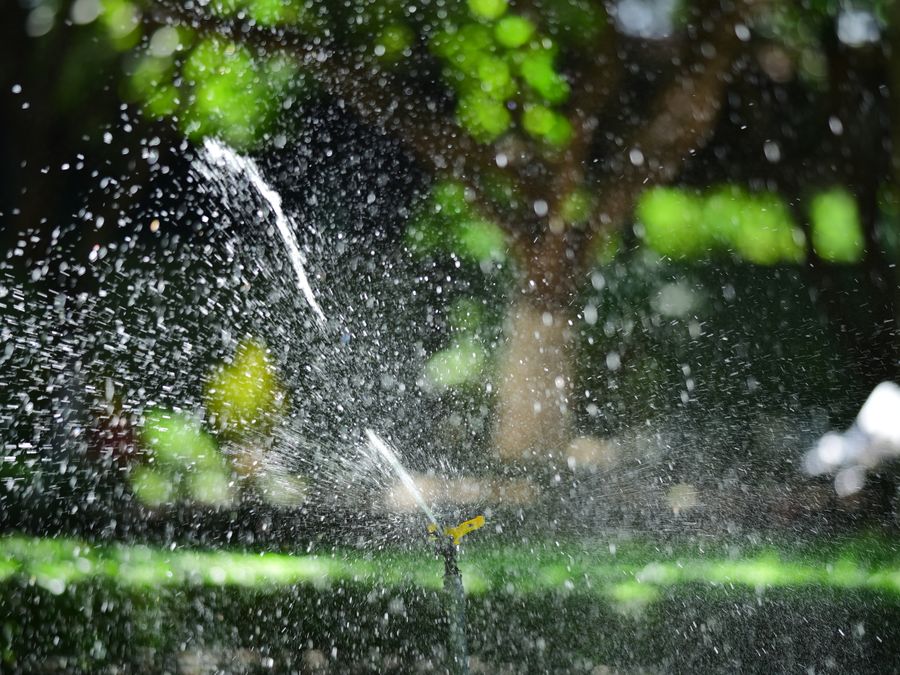 Irrigation sprinkler watering a green lawn