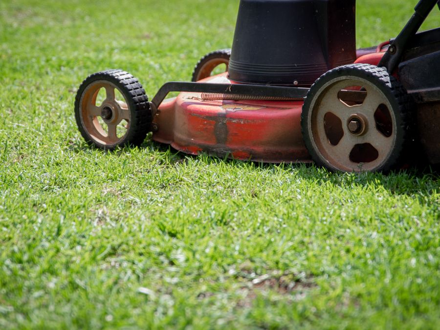 Mower cutting a lush green residential lawn