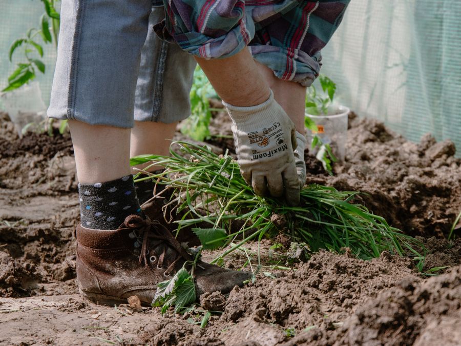 Removing weeds from a garden bed